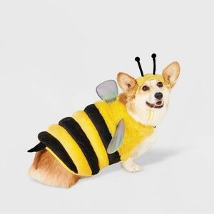 Dog bumblebee Halloween costume